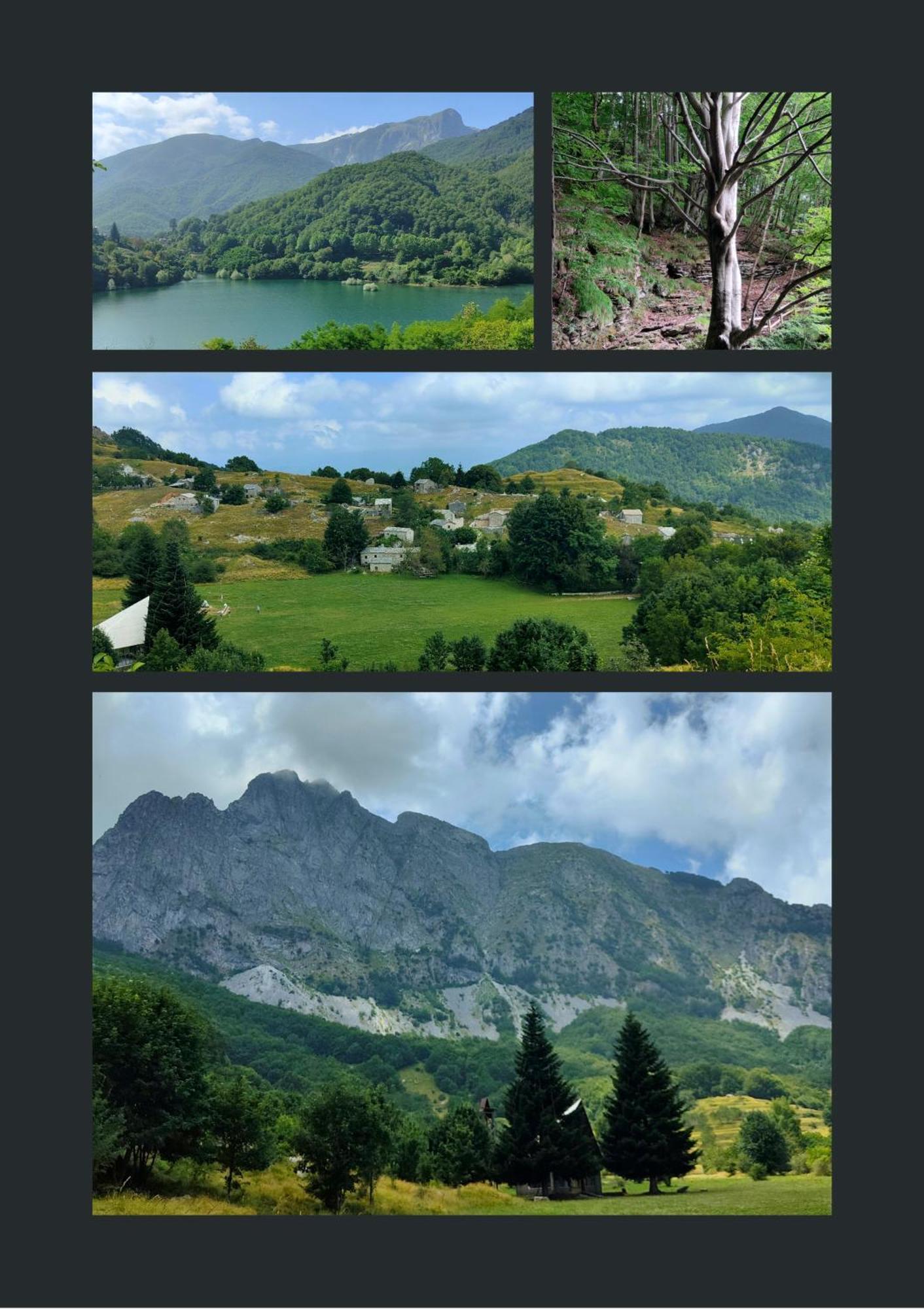 Borgo Del Sole Agriturismo Poggio  Eksteriør bilde