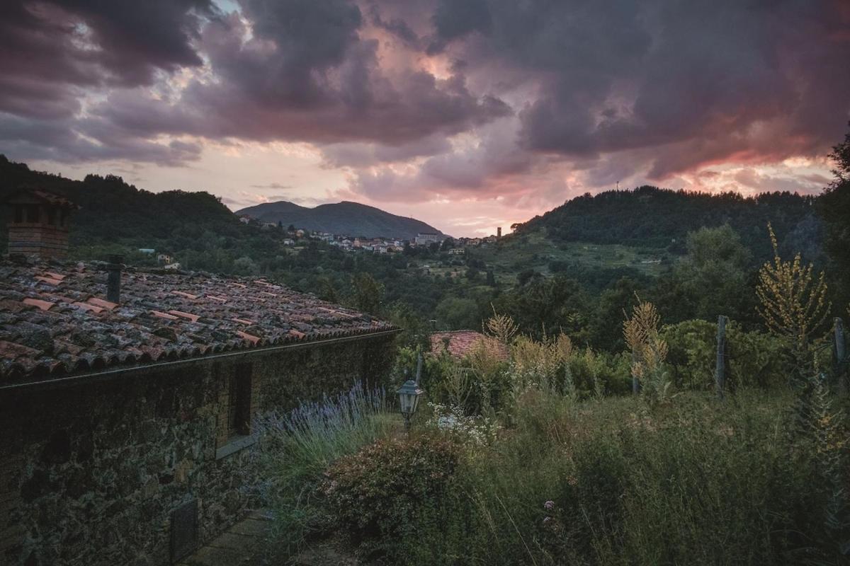 Borgo Del Sole Agriturismo Poggio  Eksteriør bilde
