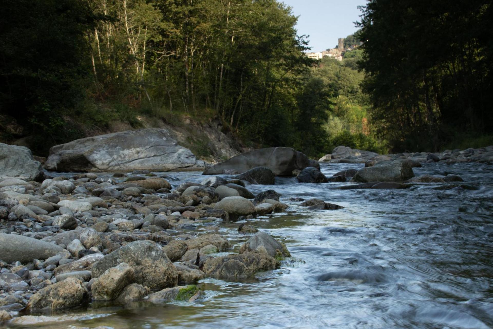 Borgo Del Sole Agriturismo Poggio  Eksteriør bilde